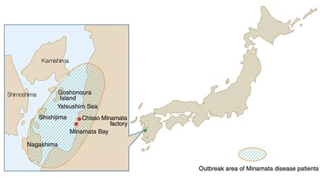 Minamata Disease - Mercury Free Society Networks