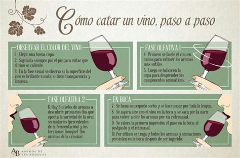 10 infografías sobre la cata del vino vinopack