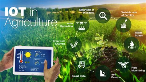 Smart Agriculture Hooshmand Negar Iot