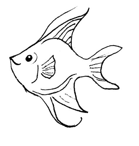 Angelfish Coral Reef Fish Clip Art Library