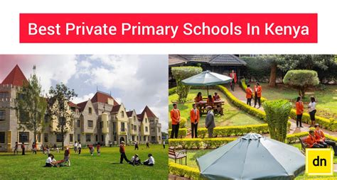 Top 20 Best Private Primary Schools In Kenya 2024 The Daily Nairobi