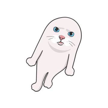meme cat png transparent images   vector files pngtree