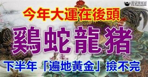 今年大運在後頭！雞、蛇、龍、豬下半年「遍地黃金」撿不完！看完轉發福星罩頂～ 有錢人這麼想