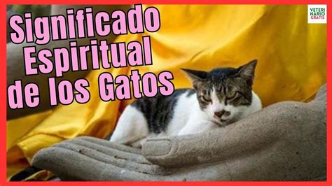 Descubre el fascinante significado espiritual detrás de los bigotes de