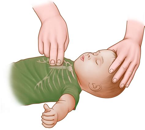 How To Do Cpr On A Newborn At Bruno Hughes Blog