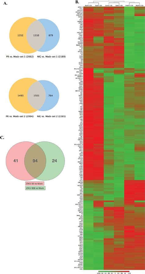 A Analysis Of The Cellular Genes Affected By Zikv Infection A Download Scientific Diagram