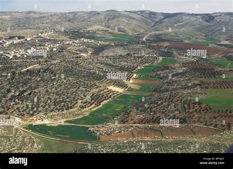 Judea El País Cerca De La Colina Central Maresha 3656 Judea Campo