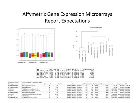 Ppt Affymetrix Gene Expression Microarrays Powerpoint Presentation