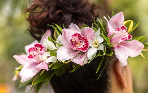 Hawaiian Flowers: 22 of the Most Beautiful Flowers Of Hawaii | Almanac.com