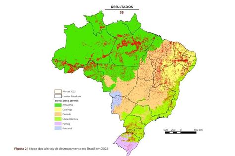 Mapbiomas Aponta Aumento De No Desmatamento Em Apremavi