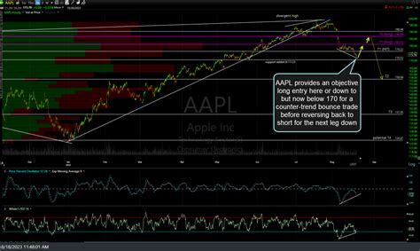 Aapl Apple Final Bounce Target Hit 8 30 23 Right Side Of The Chart