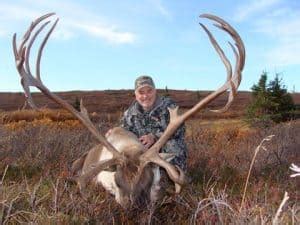 Caribou Photos Alaska Brown Bear Hunts Litzen Guide Service