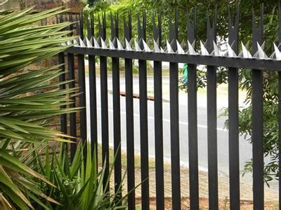 Wall Spikes Fences – Galvanized Steel Sheet and Stainless Steel Type