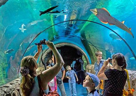 Самый большой океанариум в Москве | 1vMoskve. Интересное в Москве ...