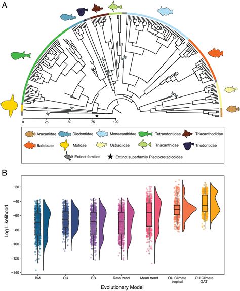 The Impact Of Paleoclimatic Changes On Body Size Evolution In Marine