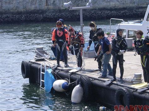 2007年6月撮影海フォトギャラリー｜南紀白浜スパダイブ