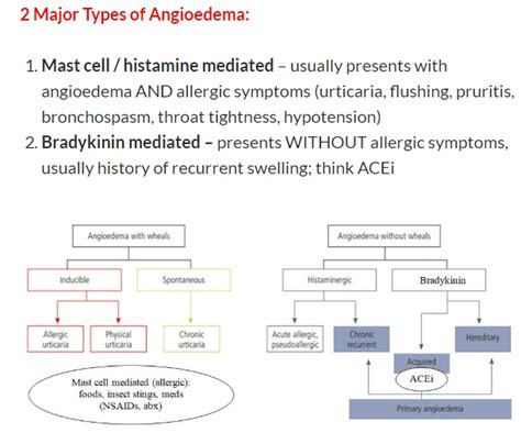 There Are 2 Major Types Of Angioedema Mast Cell Grepmed