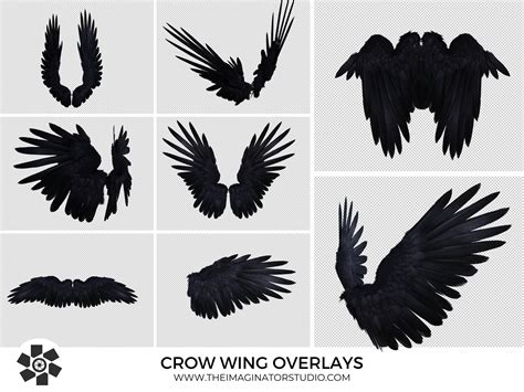 Crow Wing Overlays Black Wings Photoshop Photography Raven Wings Wing ...