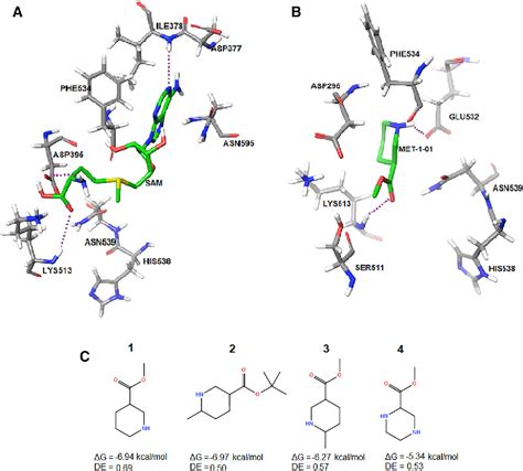 Figure From Discovery Of Small Molecules That Activate Rna