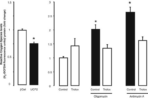 Effects Of Ucp Oligomycin And Antimycin A On Ros Levels In T L