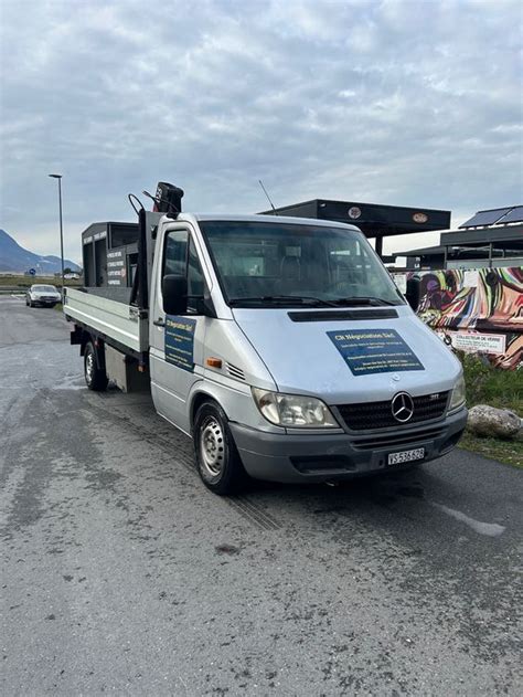 Mercedes Benz 311CDI Avec Grue De Levage Kaufen Auf Ricardo