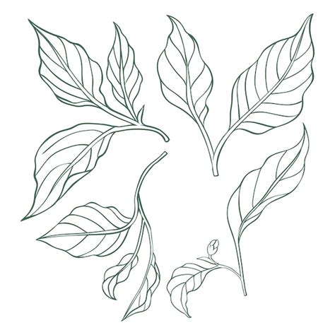 Premium Vector Chili Pepper Leaf Icons Set Linear Hot Pepper Color Silhouette Asian Or Mexican