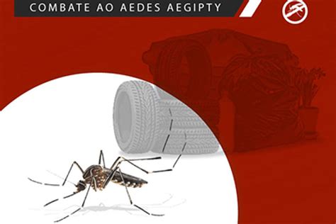 Setcemg E Fetcemg Alertam Para O Aumento Nos Casos De Dengue Em Minas