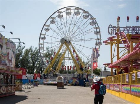 Calgary Stampede Sex In Public Telegraph