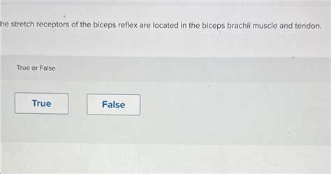 Solved he stretch receptors of the biceps reflex are located | Chegg.com