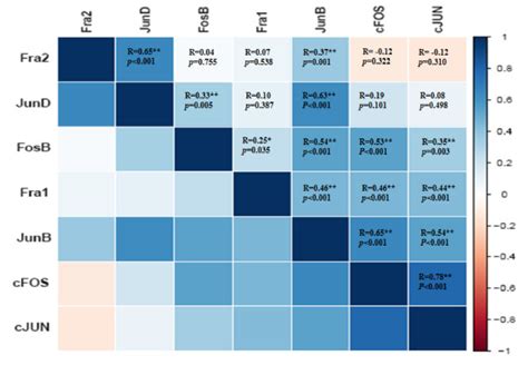 Heat Map Of The Pearsons Correlation Matrix For The Mrna Expression Of