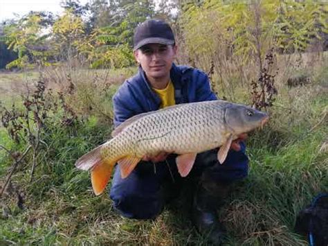 Saran Juzna Morava Mramor Carp On River Juzna Morava Serbia Youtube