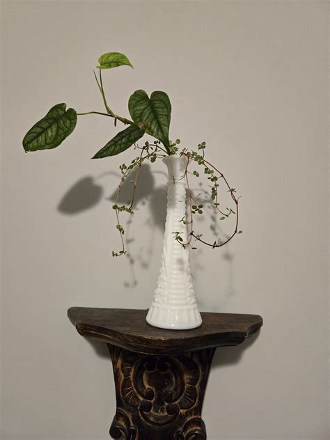 "Victorian Nights" – Literary Roots