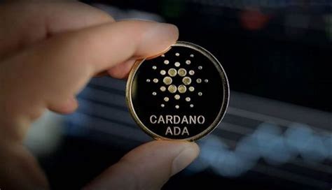 El Ecosistema Defi De Cardano Registra Un Nuevo Ath En El Dep Sito De Ada