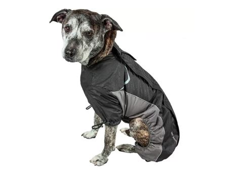 The Best Dog Clothes for Large Dogs - PureWow