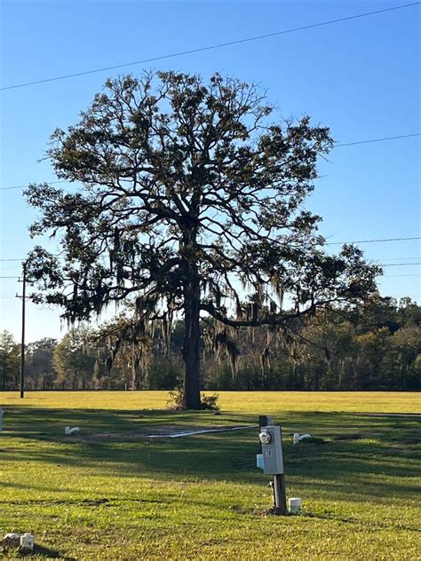 Lakeview Rv Park Hipcamp In Campti Louisiana