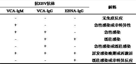 Eb病毒诊断之抗体谱，抗原选择有讲究！ Eb 病毒 感染 抗体 特异性 健康界