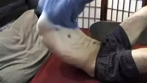 Amateur Mac Wood Jacking Off XHamster