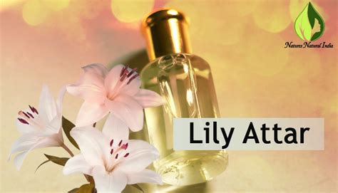 Recent Blog Natures Natural India Blogs Indian Attars A Distinguished Rich Fragrance To