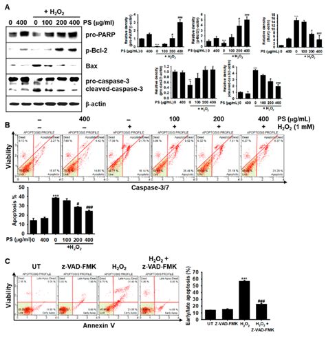 PS Protects HaCaT Keratinocytes Against H2O2 Mediated Apoptosis By