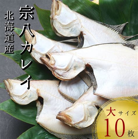 【楽天市場】北海道産宗八かれい一夜干し大サイズ10枚約2kg 干物 真空パック 無添加 一夜干し：セタナセレクション