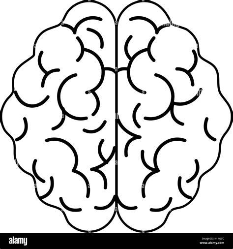 Human Brain Topview Icon Image Vector Illustration Design Black And