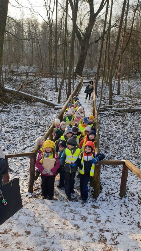 Leśna Banda zima Przedszkole 340 Kasztanowego Ludka