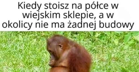 Smutna małpka Jeja pl