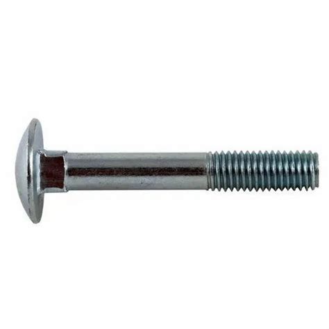 Ss Gi Carriage Bolt Size M X At Best Price In New Delhi Id