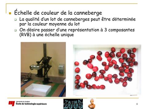 Ppt Analyse De La Variabilit En Vision Par Ordinateur Powerpoint