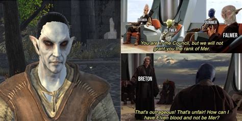 Elder Scrolls Hilarious Dunmer Memes