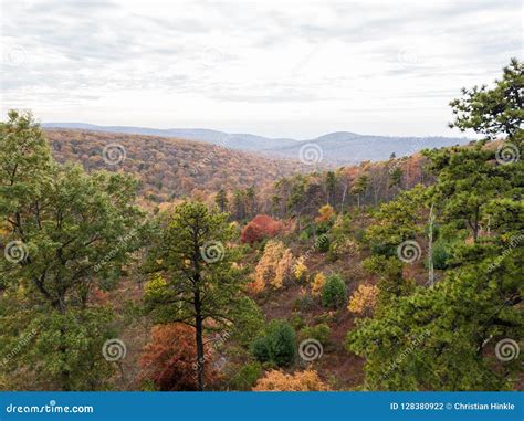 Aerial of Michaux State Forest in Pennsylvania during Fall in Th Stock ...