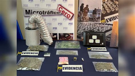 Pdi Detiene A Sujeto Que Traficaba Marihuana En Coronel El Contraste