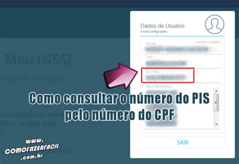 Como Fazer Para Consultar O Pis Pelo Cpf Online