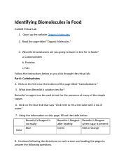 Identifying Biomolecules In Food Doc Identifying Biomolecules In Food